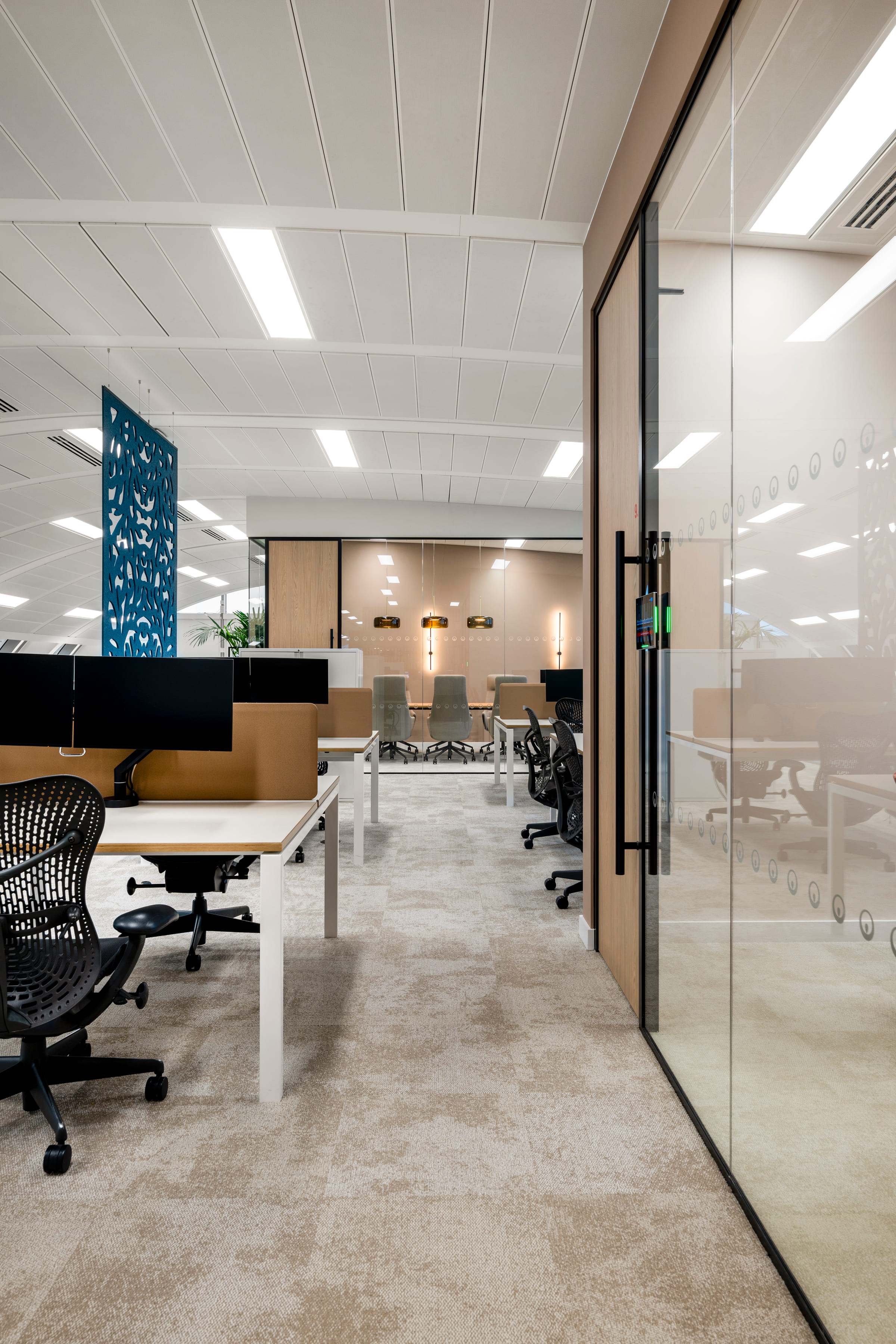 Open plan workspace with blue decorative acoustic panel, recycled carpet and meeting room beyond